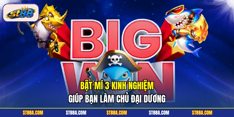 Bật mí 3 kinh nghiệm giúp bạn làm chủ đại dương